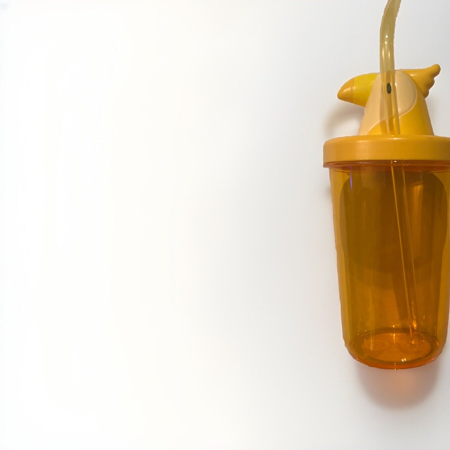 Parrot Tumbler with Lid and Straw, Summer Cup - Sun Squad