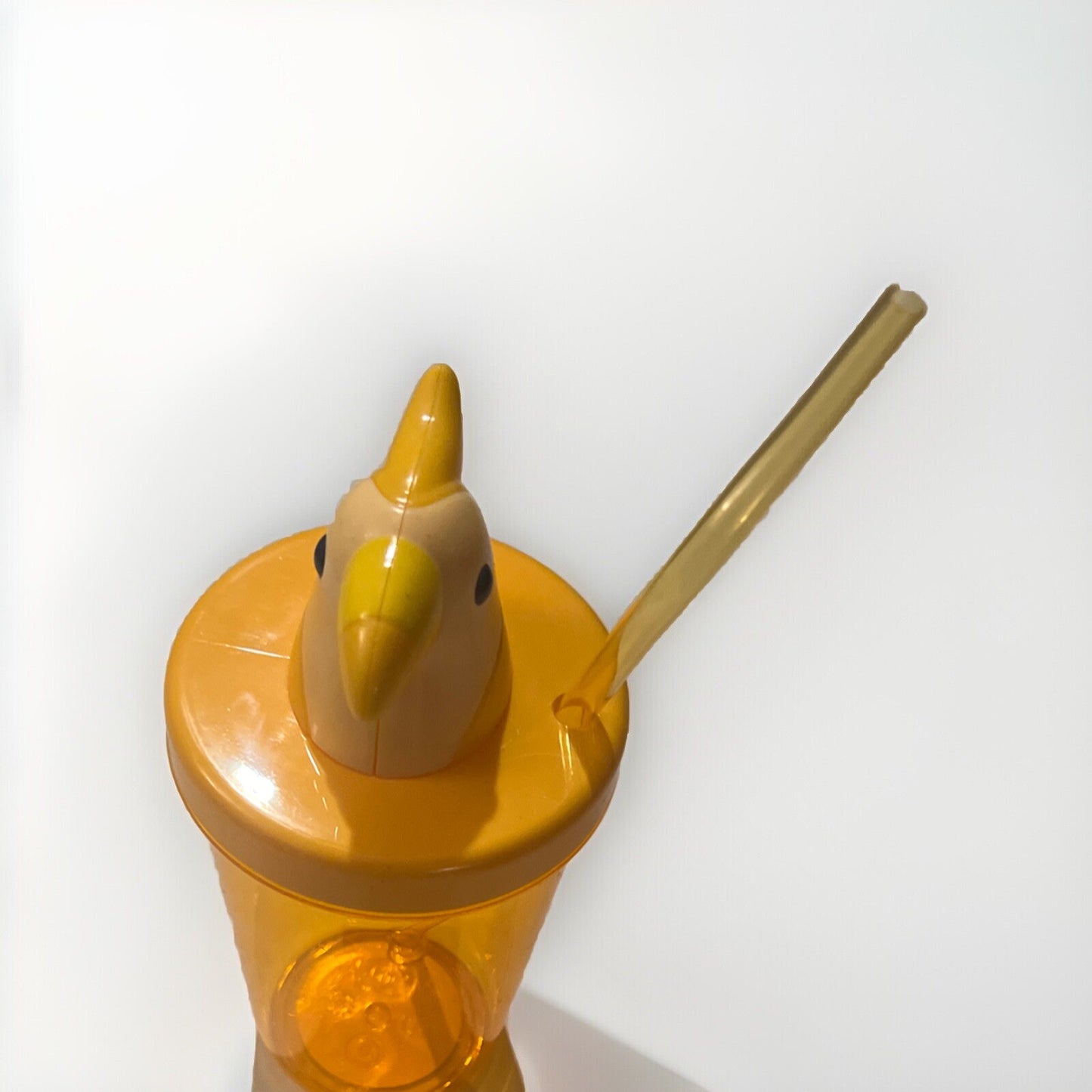 Parrot Tumbler with Lid and Straw, Summer Cup - Sun Squad